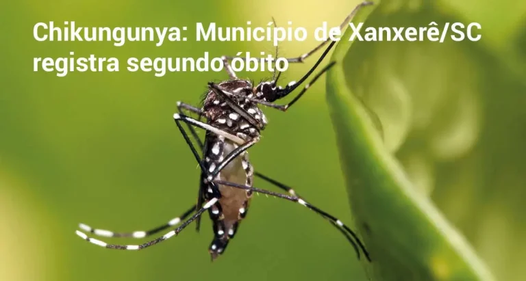 Chikungunya: Município de Xanxerê/SC registra segundo óbito