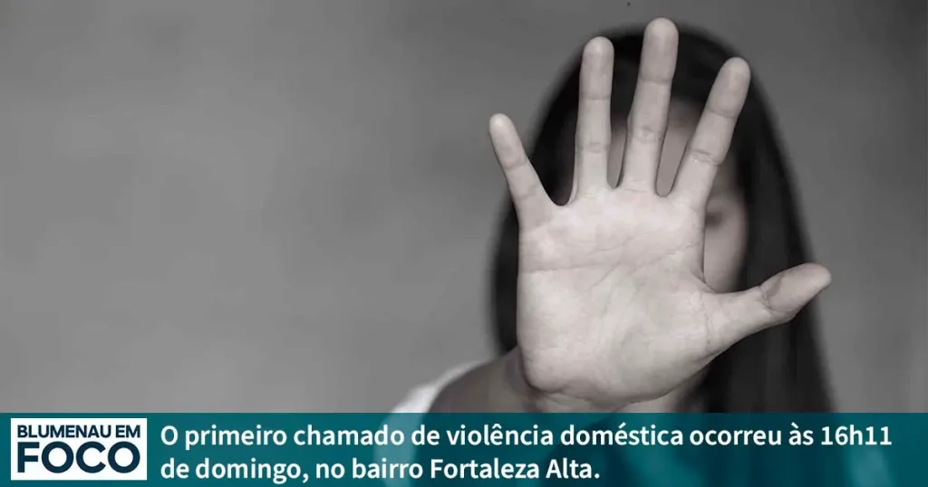 Violência Doméstica: Primeiro dos 5 Casos Registrados em Blumenau/SC. - Blumenau em Foco Notícias de Blumenau/SC.