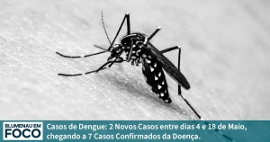 Casos de Dengue: 2 Novos Casos entre dias 4 e 18 de Maio, chegando a 7 Casos Confirmados da Doença. - Blumenau em Foco Portal de Notícias de Blumenau, Vale do Itajaí/SC