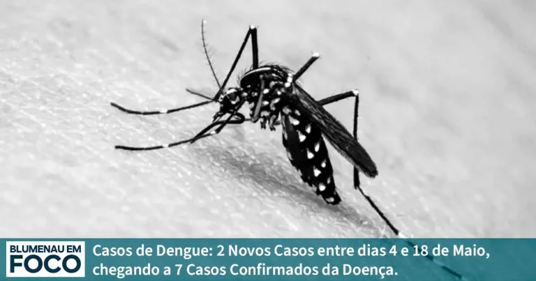 Casos de Dengue: 2 Novos Casos entre dias 4 e 18 de Maio, chegando a 7 Casos Confirmados da Doença. - Blumenau em Foco Portal de Notícias de Blumenau, Vale do Itajaí/SC