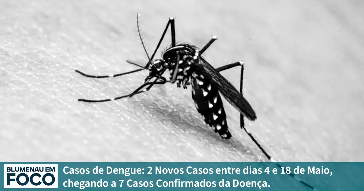 Casos de Dengue: 2 Novos Casos entre dias 4 e 18 de Maio, chegando a 7 Casos Confirmados da Doença. - Blumenau em Foco Portal de Notícias de Blumenau, Vale do Itajaí/SC