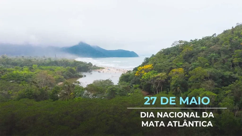 Dia 27 de Maio: Dia Nacional da Mata Atlântica. - Blumenau em Foco Portal de Notícias de Blumenau e Região.
