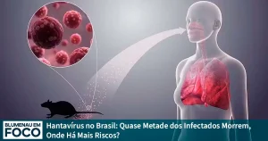 Hantavírus no Brasil: Quase Metade dos Infectados Morrem, Onde Há Mais Riscos? - Blumenau em Foco Notícias de Blumenau e Região.