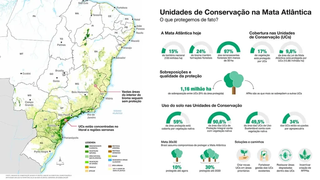 Dia 1 de Junho: Mata Atlântica, o Despertar da Consciência Ecológica Regional. - Memórias do Vale. - Blumenau em Foco Portal de Notícias de Blumenau e Região.