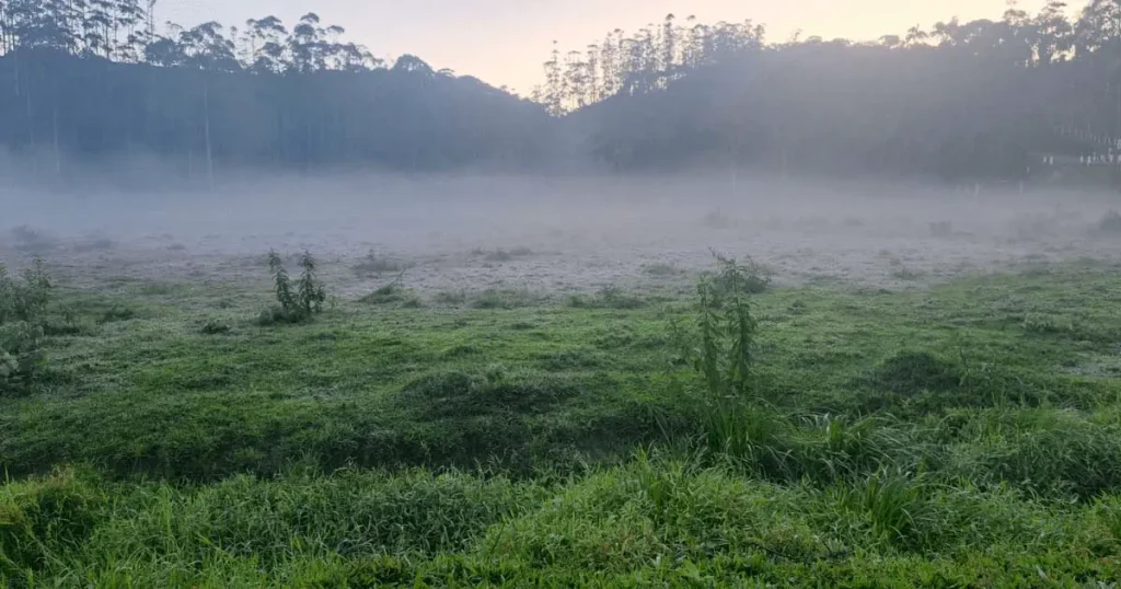 Dia 1 de Junho: O Início do Inverno Meteorológico e os Alertas Climáticos. - Memórias do Vale. - Blumenau em Foco Portal de Notícias de Blumenau e Região.