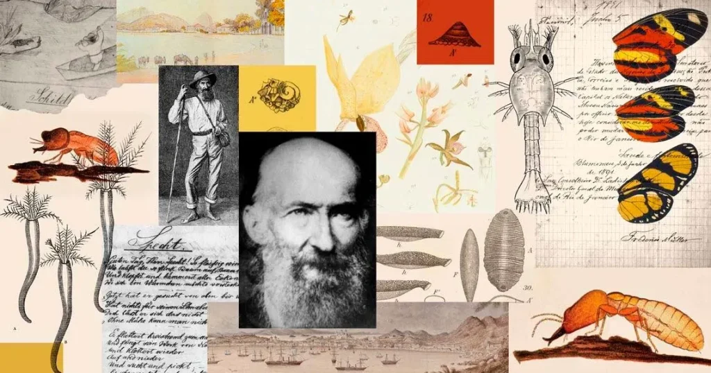 Dia 17 de Junho de 1936: Fundação do Museu de Ecologia Fritz Müller.Dia 17 de Junho de 1936: Fundação do Museu de Ecologia Fritz Müller 
