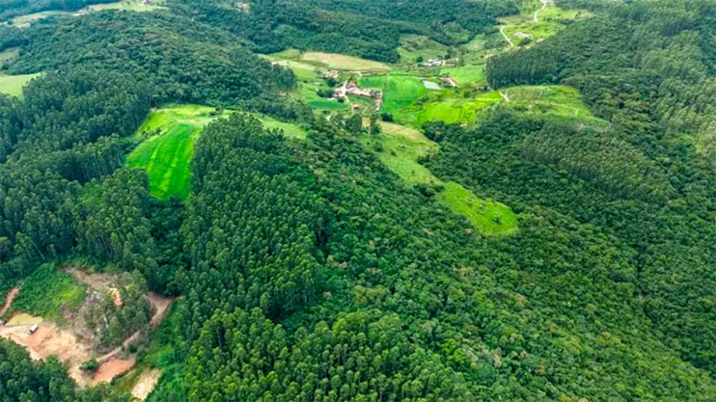 Dia 20 de Junho de 1980 - A Fundação da Reserva Biológica Estadual da Canela Preta. - Blumenau em Foco Portal de Notícias de Blumenau/SC Dia 20 de Junho de 1980 - A Fundação da Reserva Biológica Estadual da Canela Preta. - Blumenau em Foco Portal de Notícias de Blumenau/SC