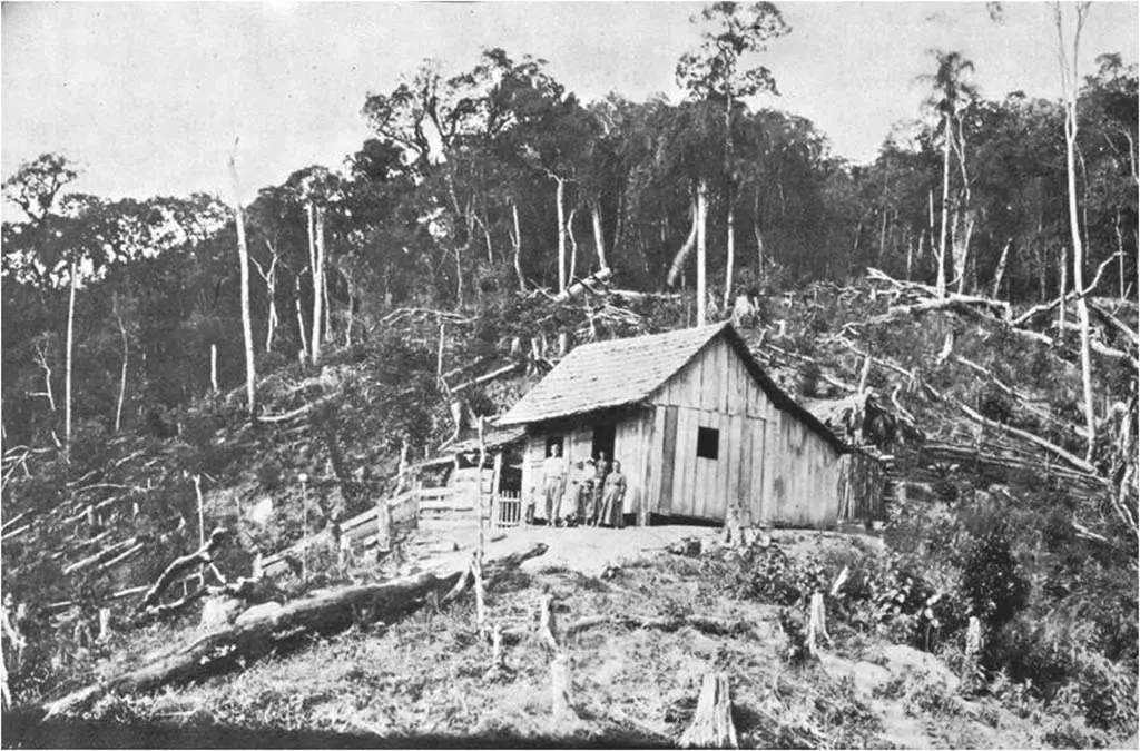 Dia 7 de Junho, Década de 1850, o Impulso da Colonização e a Força do Imigrante. - Blumenau em Foco Portal de Notícias de Blumenau/SC