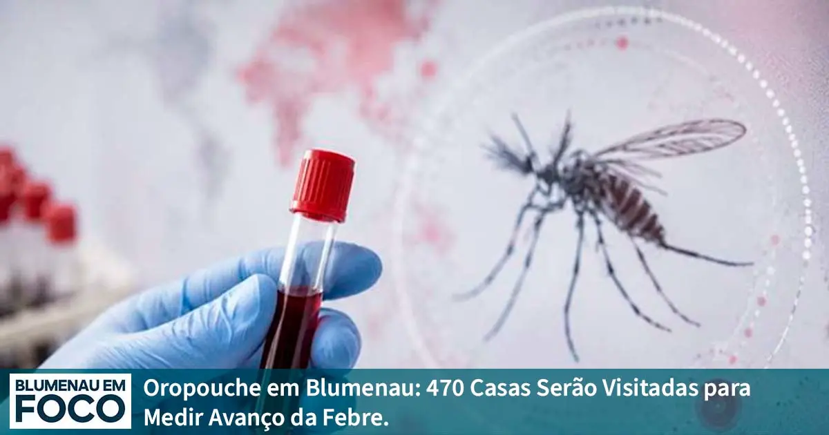 Oropouche em Blumenau: 470 Casas Serão Visitadas para Medir Avanço da Febre. - Blumenau em Foco Portal de Notícias de Blumenau/SC