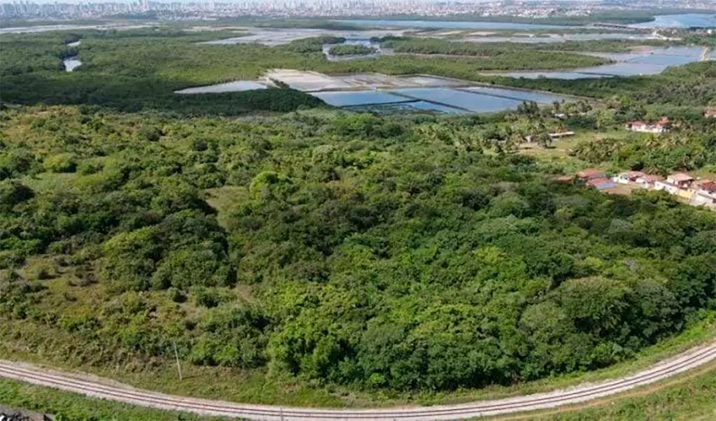 5. 18 de Julho de 2000: A Lei do SNUC e a Proteção da Nossa Mata Atlântica. - Blumenau em Foco Portal de Notícias de Blumenau/SC 5. 18 de Julho de 2000: A Lei do SNUC e a Proteção da Nossa Mata Atlântica. - Blumenau em Foco Portal de Notícias de Blumenau/SC
