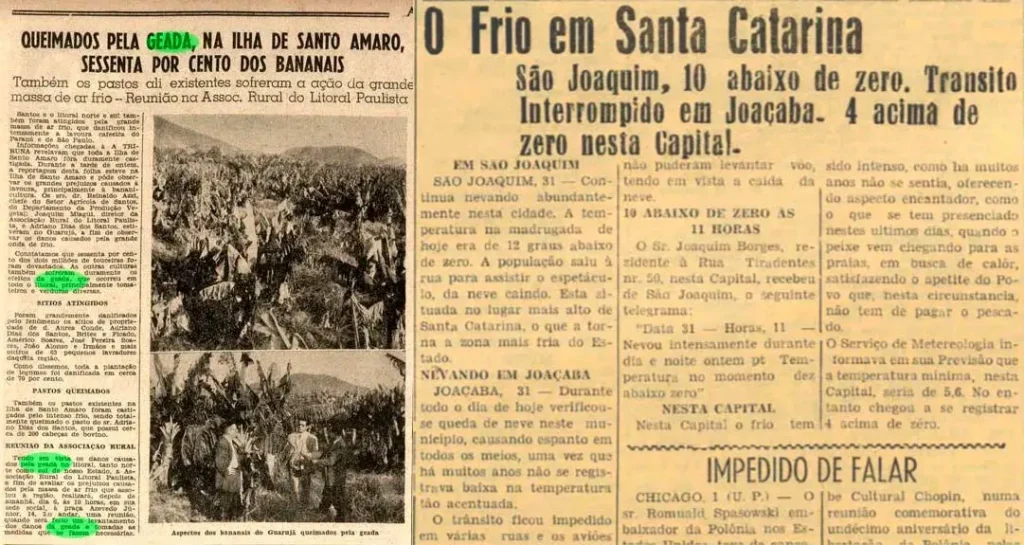 3. Dia 31 de Julho de 1955: O Inverno Implacável e a Geada Histórica. 3. Dia 31 de Julho de 1955: O Inverno Implacável e a Geada Histórica.