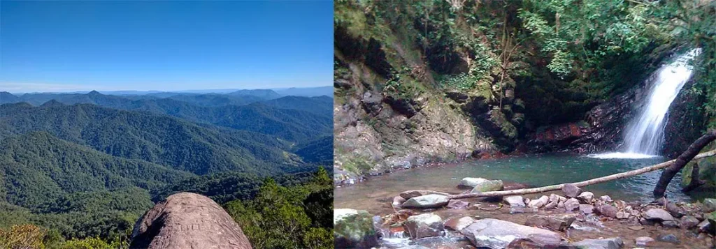 4. A Criação de Reservas Ecológicas (Dia 25 de Agosto de 1999) - Blumenau em Foco Portal de Notícias de Blumenau/SC.