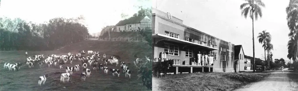 2. O Impulso à Produção de Laticínios e Queijos (Dia 9 de Agosto de 1933) - Blumenau em Foco Portal de Notícias de Blumenau/SC.