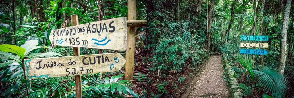 O Despertar da Consciência Ecológica Urbana (Dia 4 de Setembro de 1995) O Despertar da Consciência Ecológica Urbana (Dia 4 de Setembro de 1995)